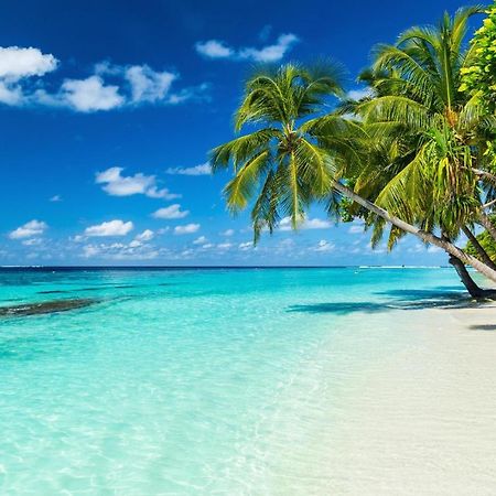 Equa Reef Maldives Hotel Addu Atoll Kültér fotó
