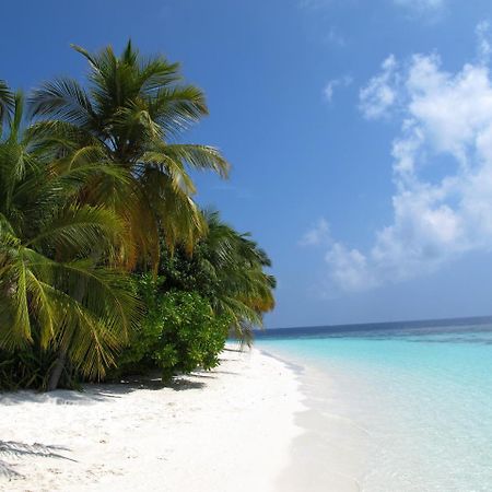 Equa Reef Maldives Hotel Addu Atoll Kültér fotó