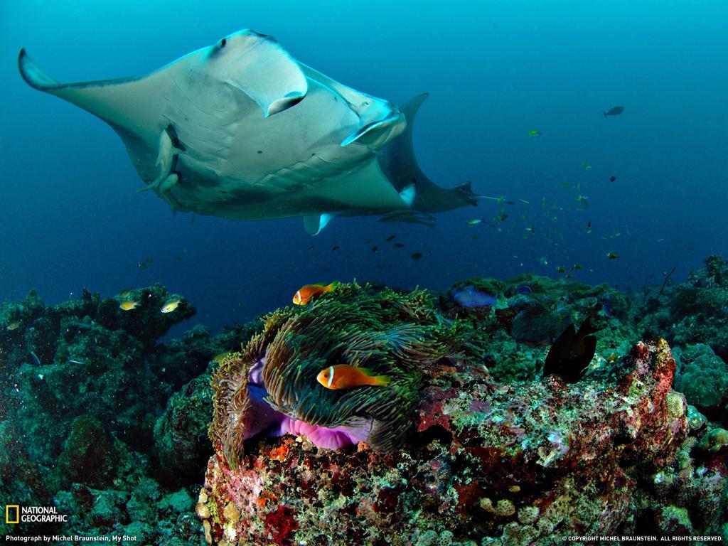 Equa Reef Maldives Hotel Addu Atoll Kültér fotó