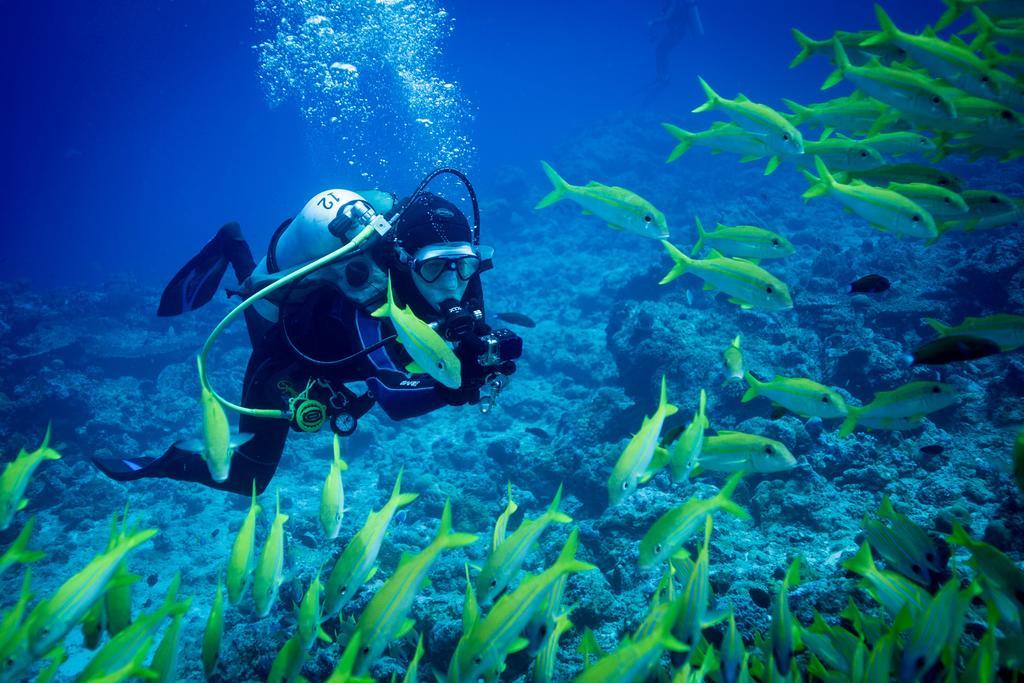 Equa Reef Maldives Hotel Addu Atoll Kültér fotó
