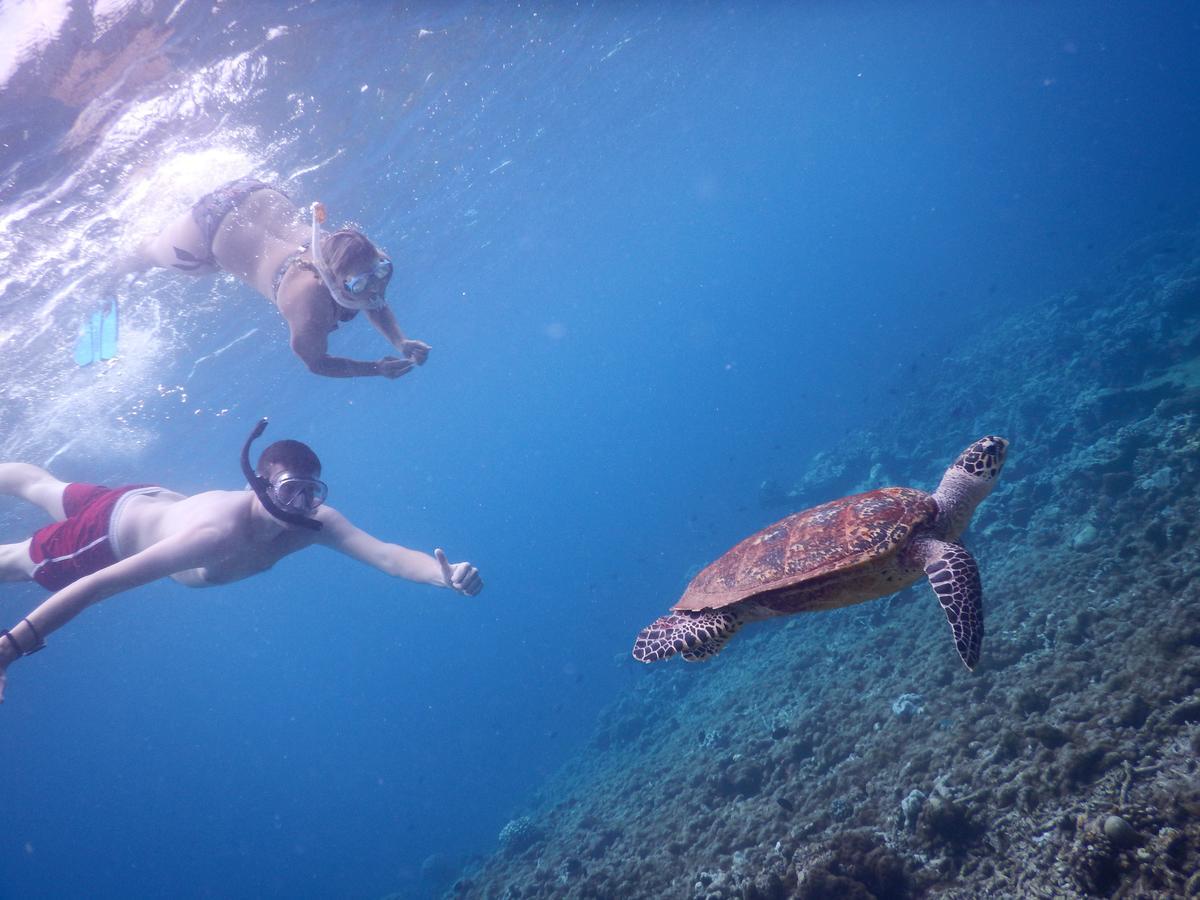 Equa Reef Maldives Hotel Addu Atoll Kültér fotó