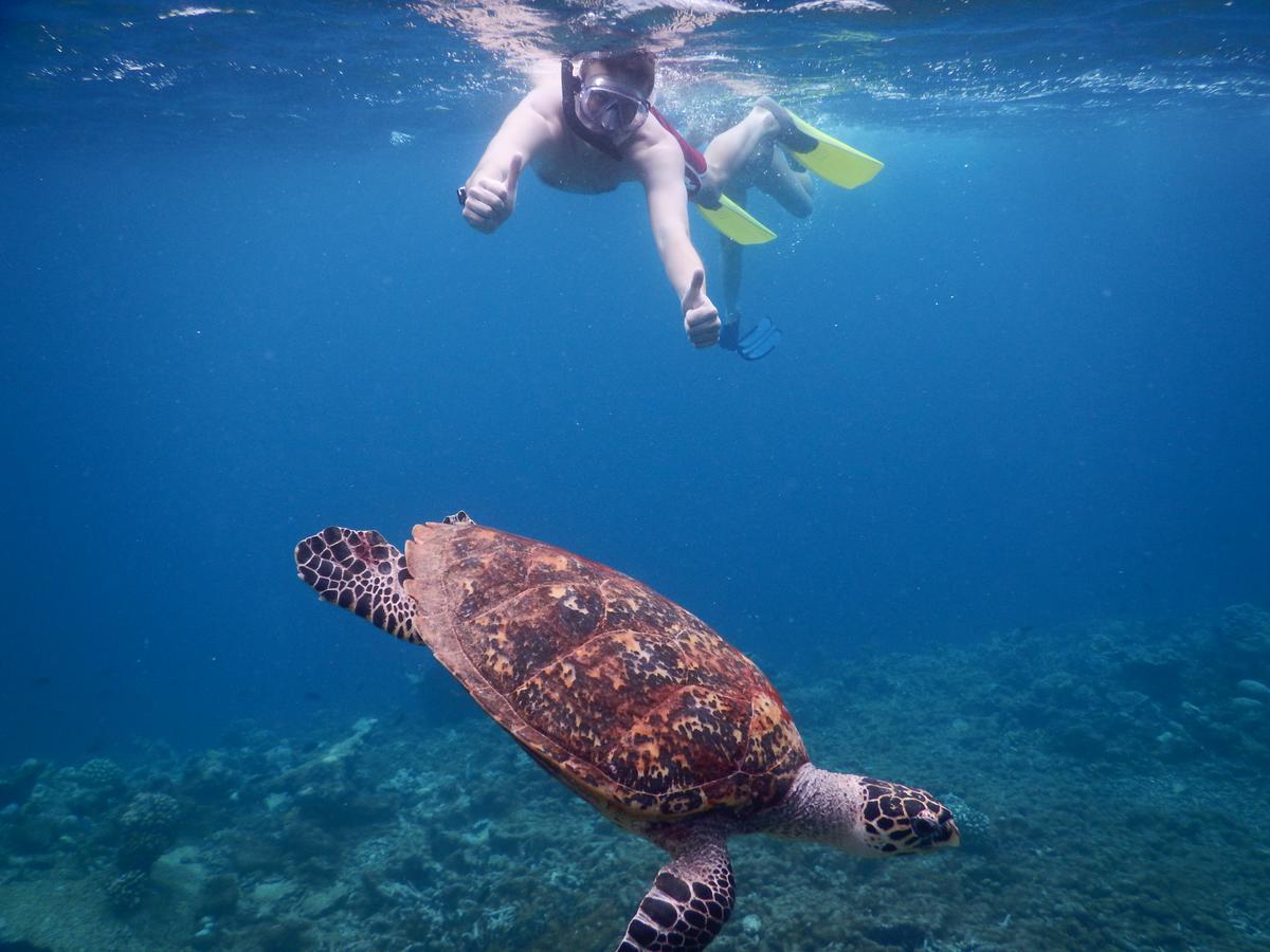 Equa Reef Maldives Hotel Addu Atoll Kültér fotó