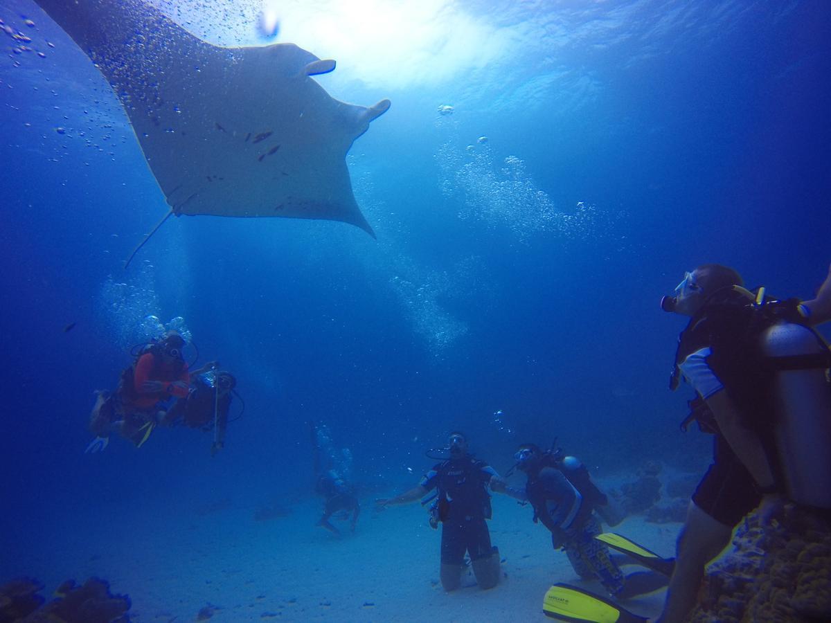 Equa Reef Maldives Hotel Addu Atoll Kültér fotó