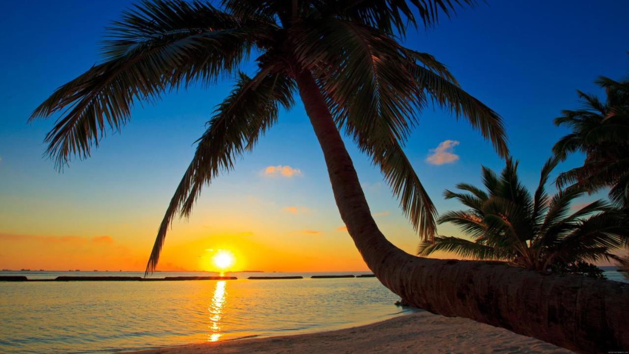 Equa Reef Maldives Hotel Addu Atoll Kültér fotó