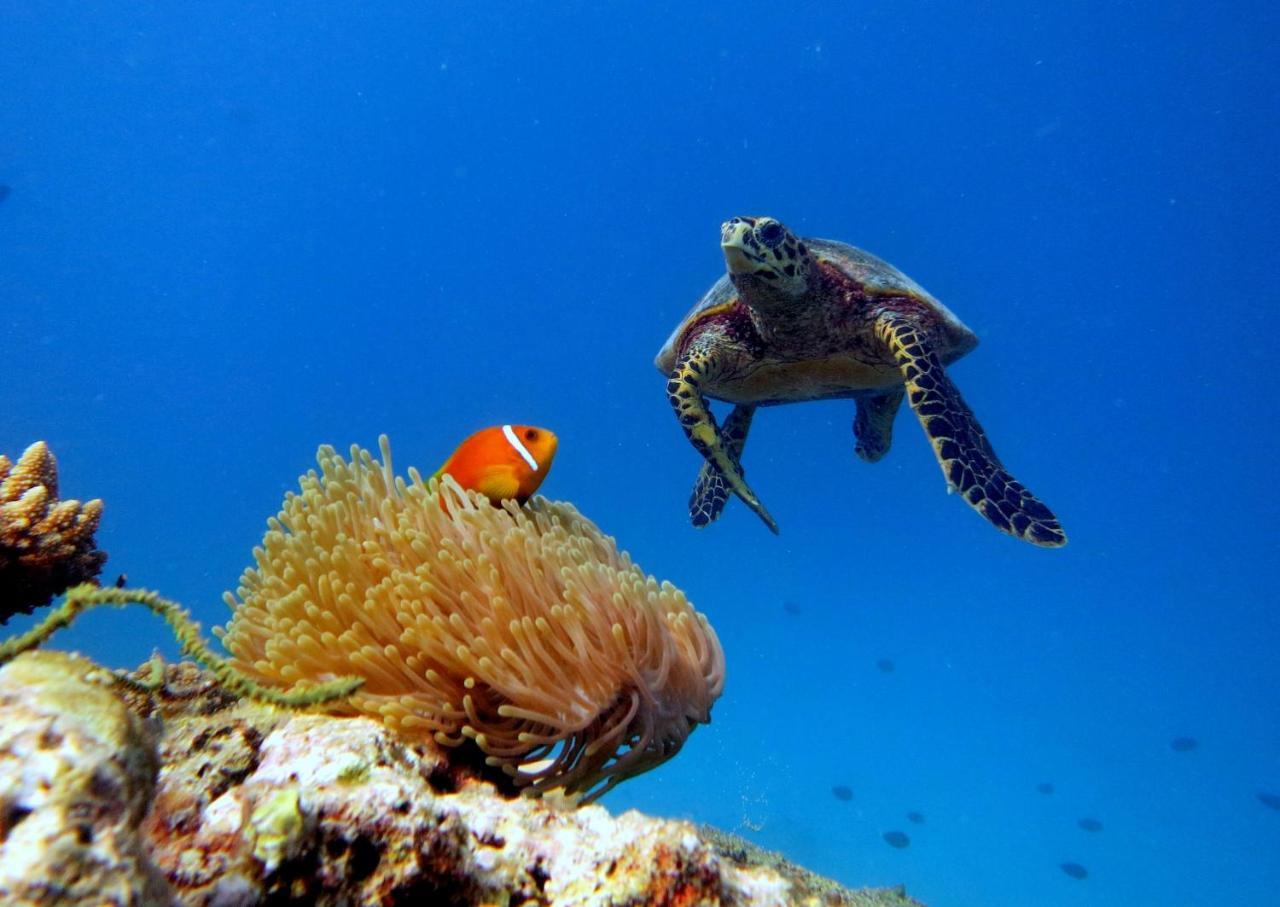 Equa Reef Maldives Hotel Addu Atoll Kültér fotó