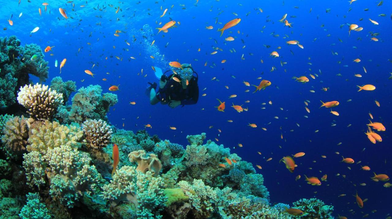 Equa Reef Maldives Hotel Addu Atoll Kültér fotó