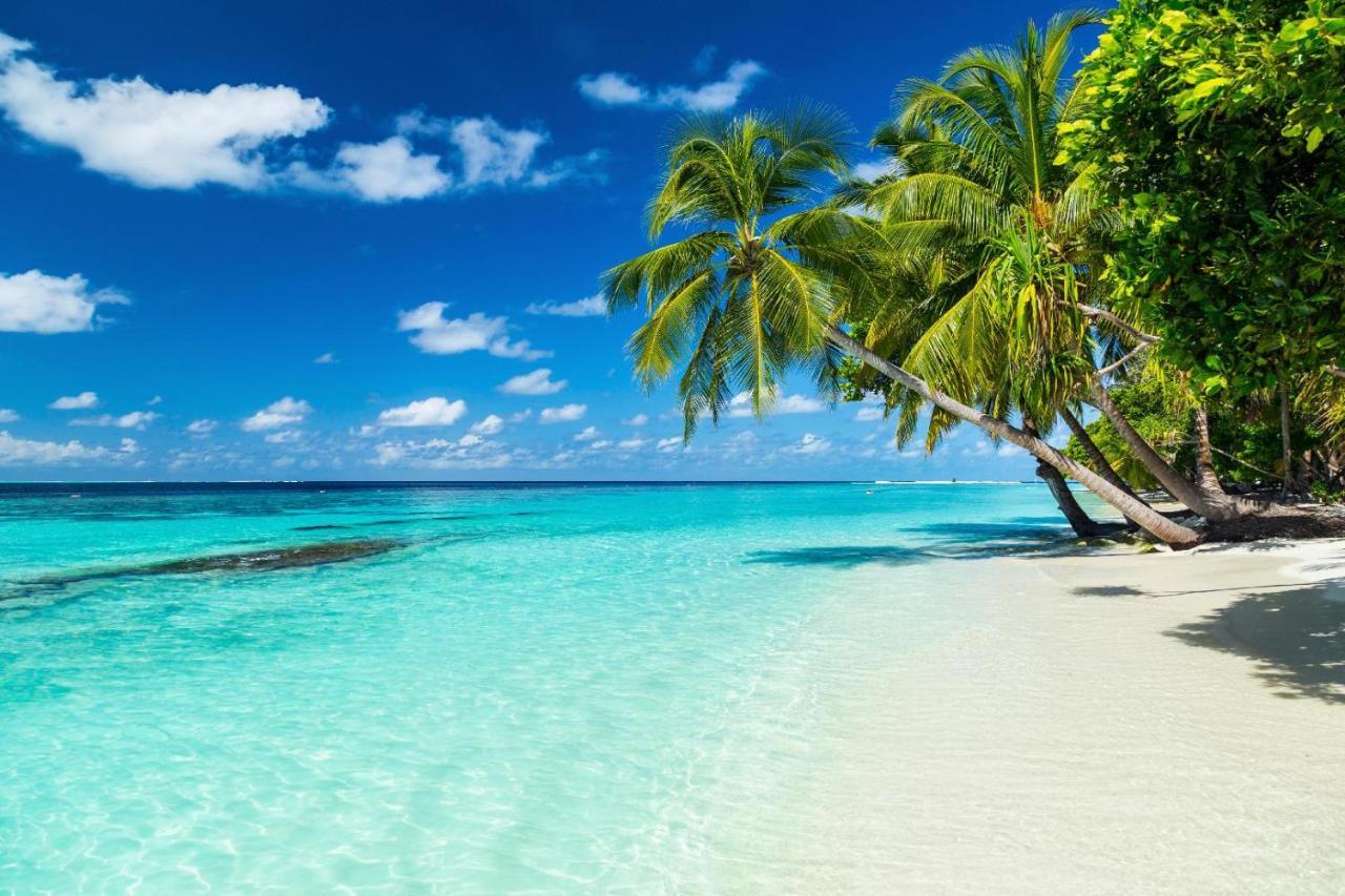 Equa Reef Maldives Hotel Addu Atoll Kültér fotó