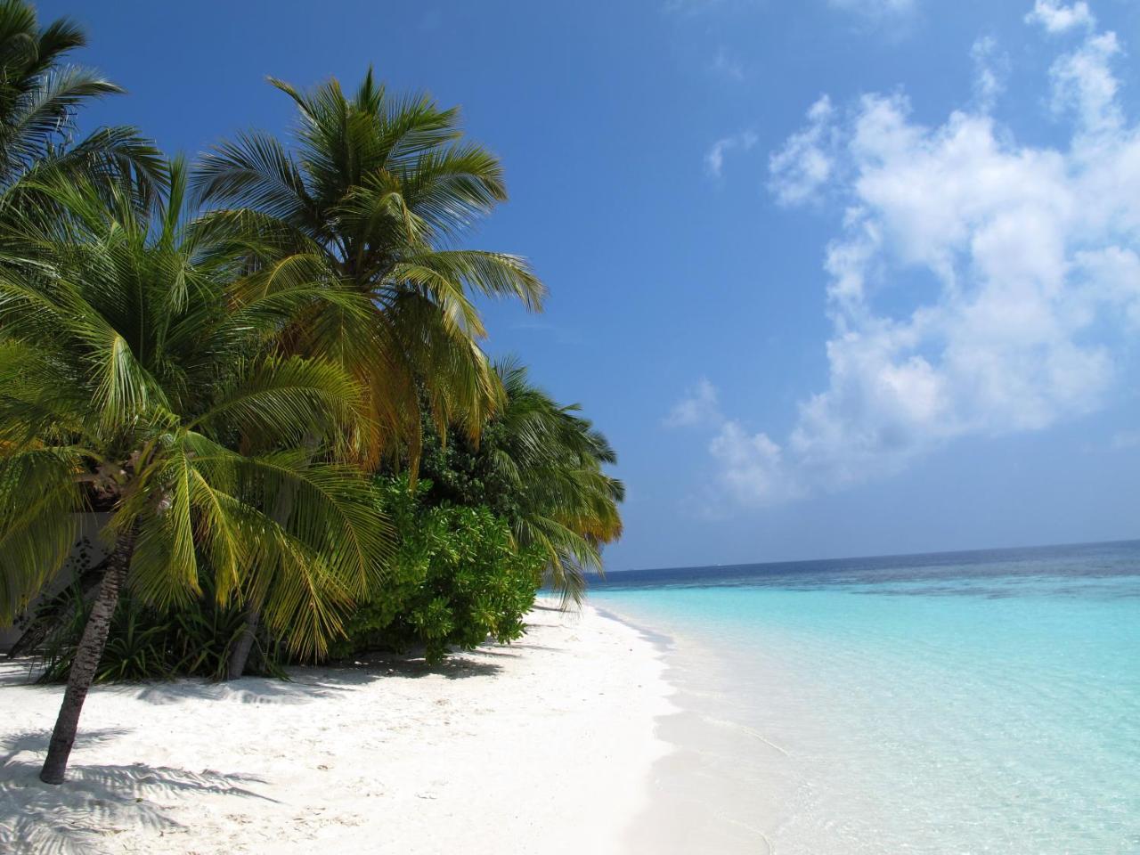 Equa Reef Maldives Hotel Addu Atoll Kültér fotó